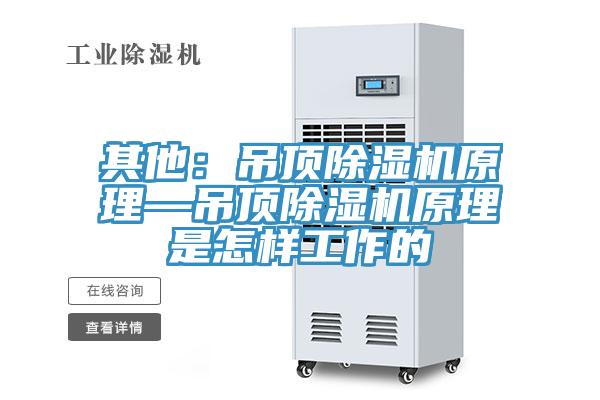 其他：吊頂除濕機原理—吊頂除濕機原理是怎樣工作的