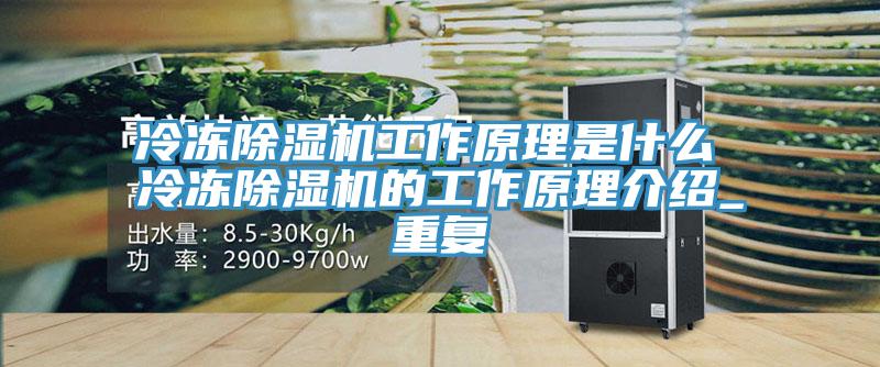 冷凍除濕機工作原理是什么 冷凍除濕機的工作原理介紹_重復