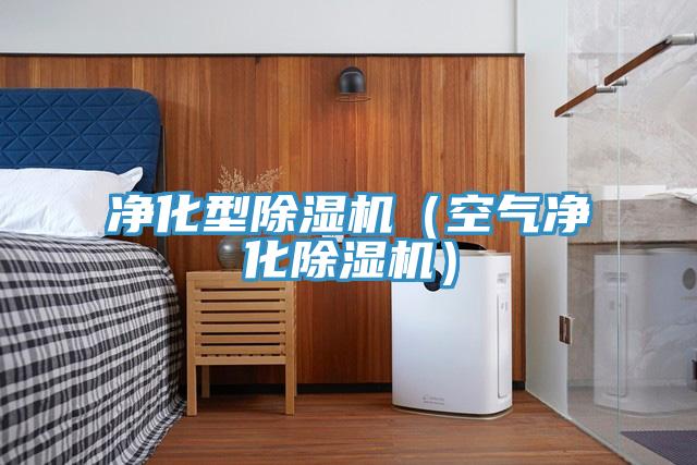 凈化型除濕機（空氣凈化除濕機）
