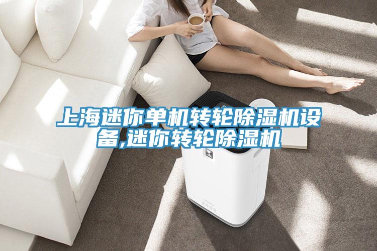 上海迷你單機轉輪除濕機設備,迷你轉輪除濕機