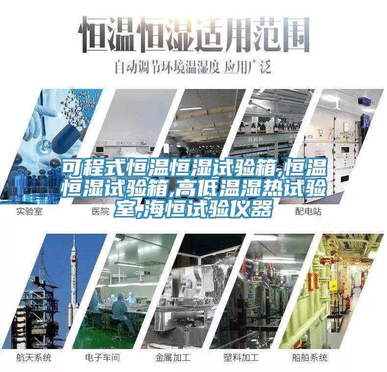 可程式恒溫恒濕試驗箱,恒溫恒濕試驗箱,高低溫濕熱試驗室,海恒試驗儀器