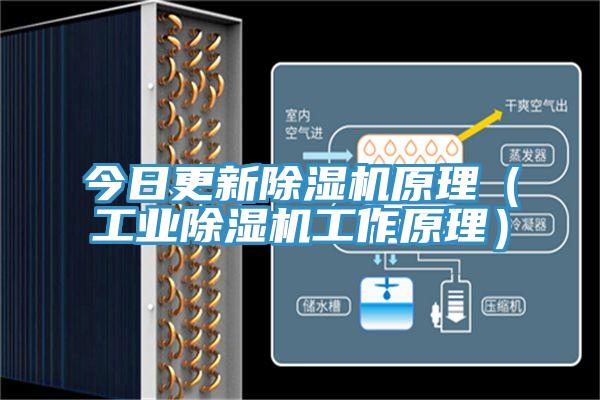 今日更新除濕機原理（工業除濕機工作原理）