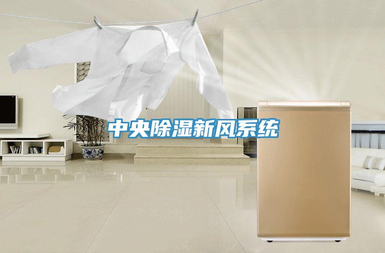 中央除濕新風系統