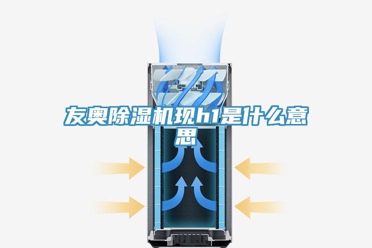 友奧除濕機現h1是什么意思