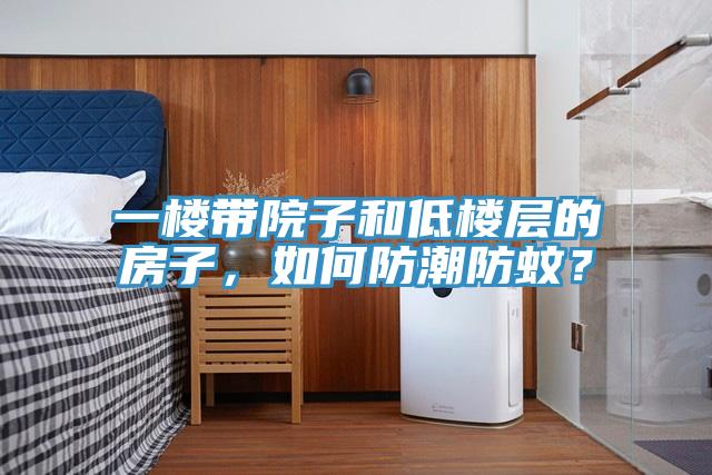 一樓帶院子和低樓層的房子，如何防潮防蚊？