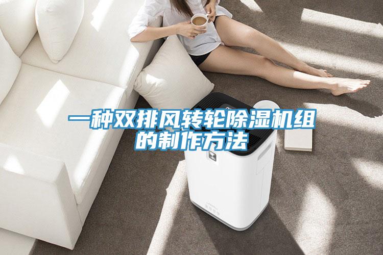 一種雙排風轉輪除濕機組的制作方法