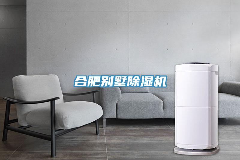 合肥別墅除濕機