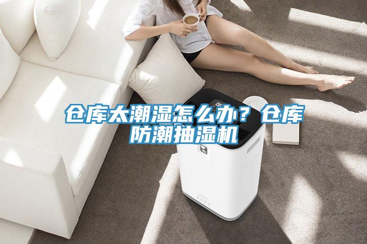 倉庫太潮濕怎么辦?倉庫防潮抽濕機