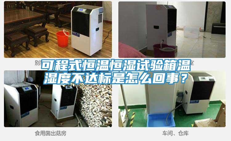 可程式恒溫恒濕試驗箱溫濕度不達標是怎么回事？