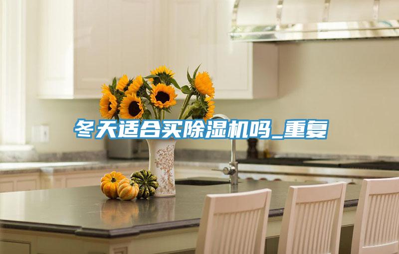 冬天適合買除濕機嗎_重復