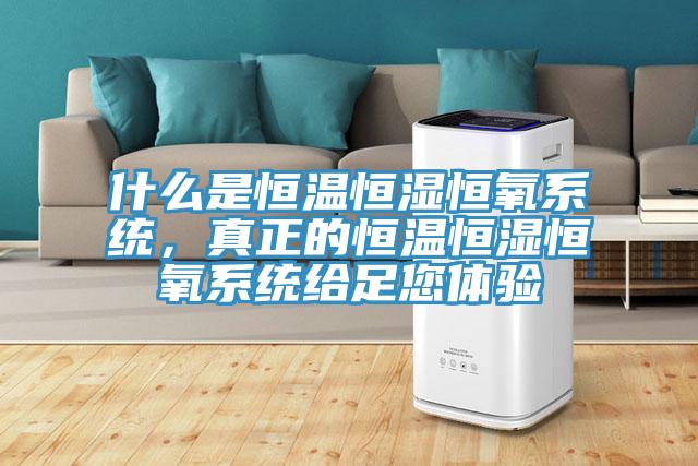 什么是恒溫恒濕恒氧系統(tǒng)，真正的恒溫恒濕恒氧系統(tǒng)給足您體驗