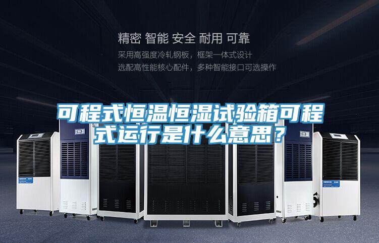 可程式恒溫恒濕試驗箱可程式運行是什么意思？