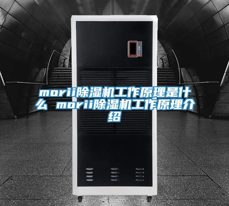 morii除濕機工作原理是什么 morii除濕機工作原理介紹