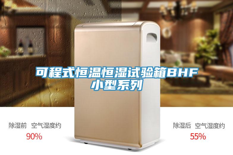 可程式恒溫恒濕試驗箱BHF小型系列