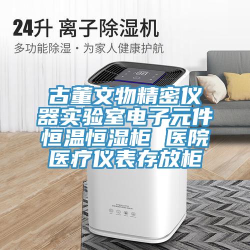 古董文物精密儀器實驗室電子元件恒溫恒濕柜 醫院醫療儀表存放柜
