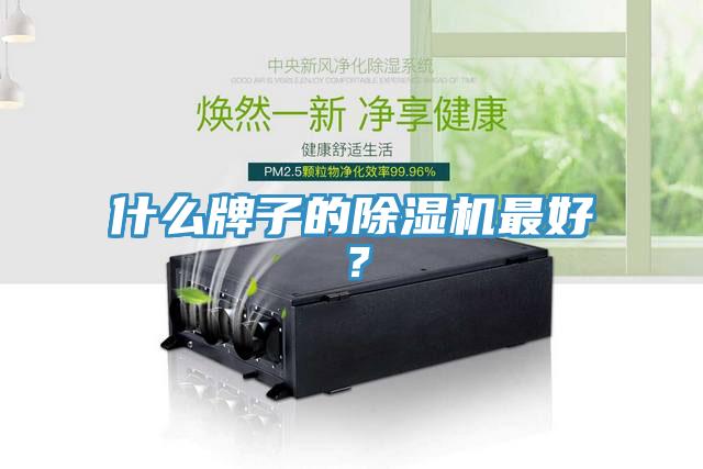 什么牌子的除濕機最好？
