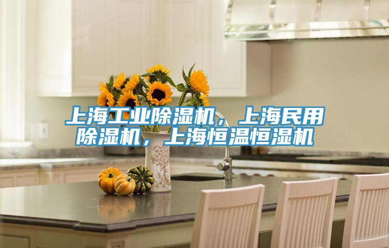 上海工業除濕機，上海民用除濕機，上海恒溫恒濕機