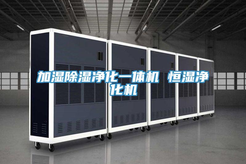 加濕除濕凈化一體機 恒濕凈化機