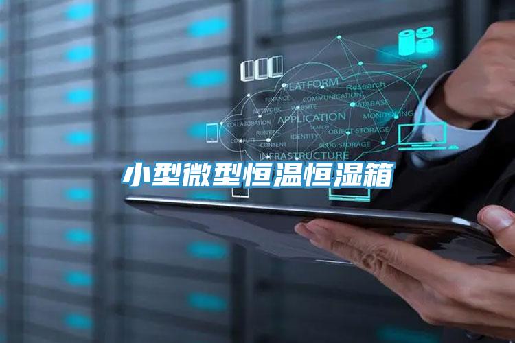 小型微型恒溫恒濕箱