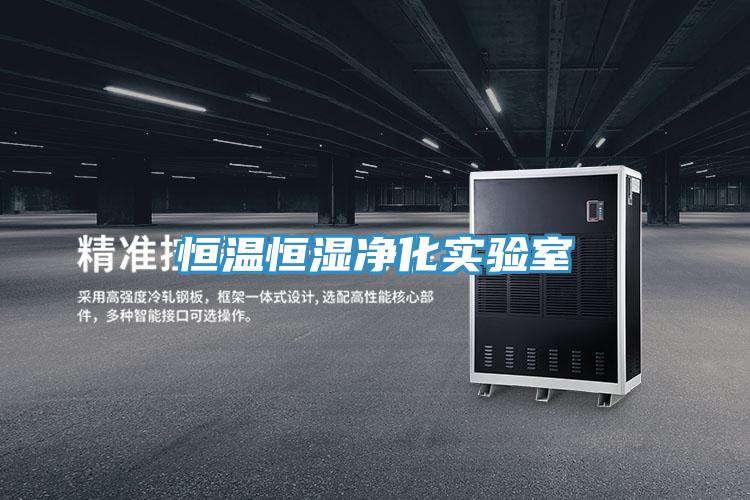 恒溫恒濕凈化實驗室