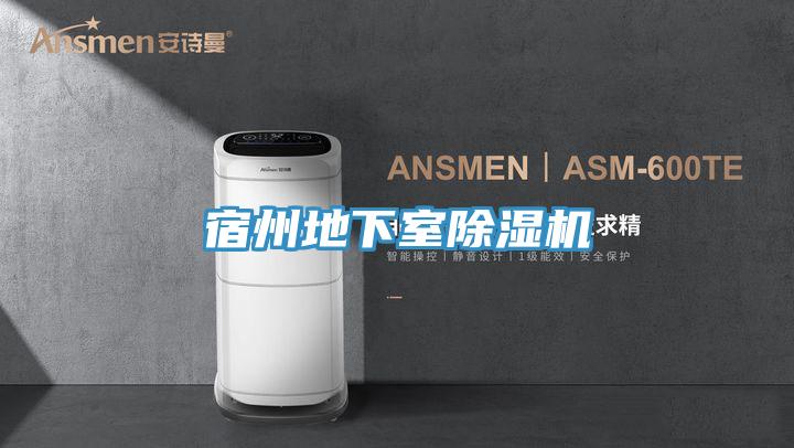 宿州地下室除濕機