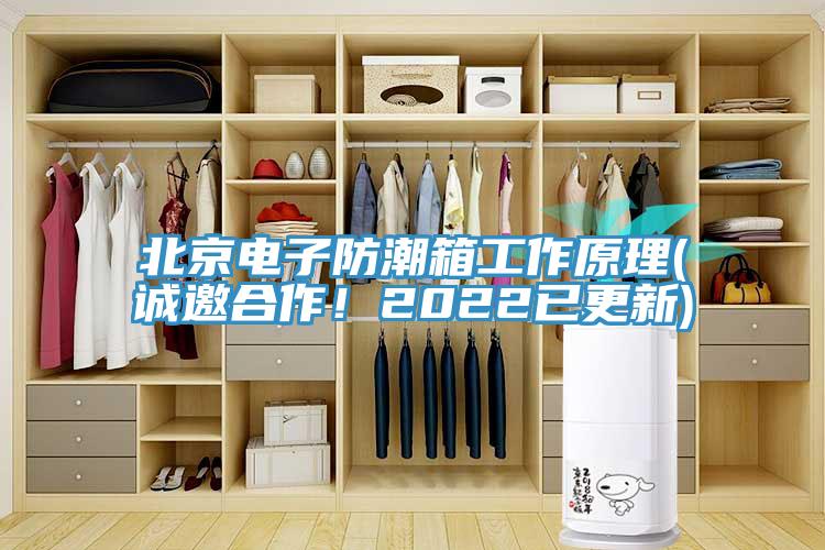 北京電子防潮箱工作原理(誠邀合作!2022已更新)