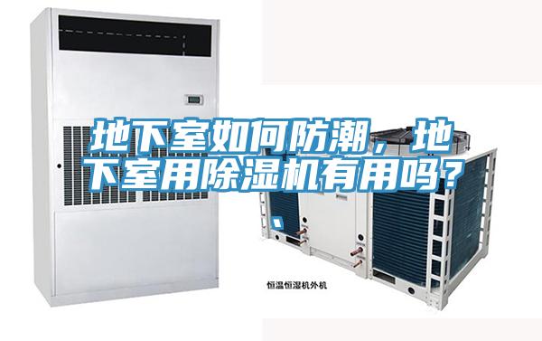 地下室如何防潮，地下室用除濕機有用嗎？、