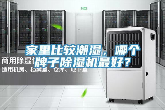 家里比較潮濕，哪個牌子除濕機最好？