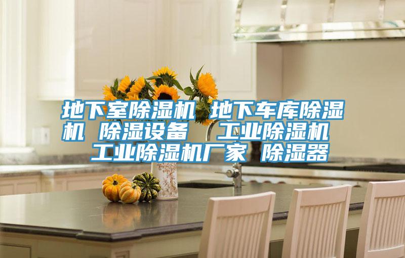 地下室除濕機 地下車庫除濕機 除濕設備  工業除濕機  工業除濕機廠家 除濕器