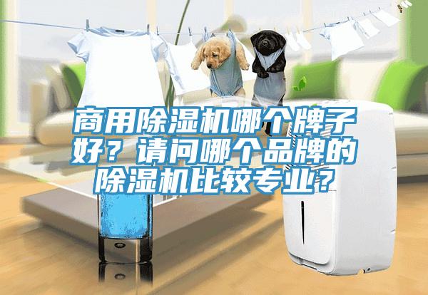 商用除濕機哪個牌子好?請問哪個品牌的除濕機比較專業?
