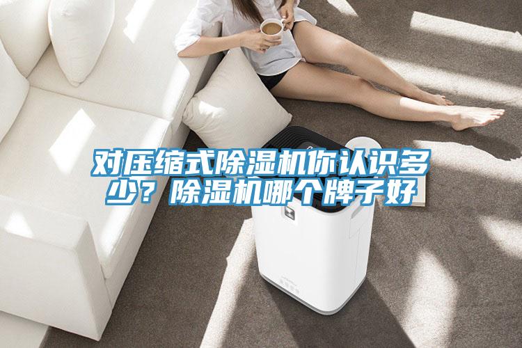 對壓縮式除濕機你認識多少？除濕機哪個牌子好