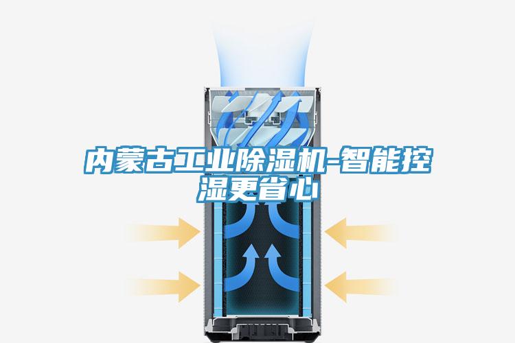 內蒙古工業除濕機-智能控濕更省心