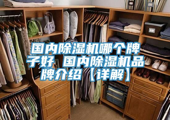 國內除濕機哪個牌子好 國內除濕機品牌介紹【詳解】