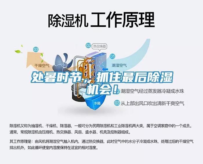 處暑時節(jié),抓住最后除濕機會!