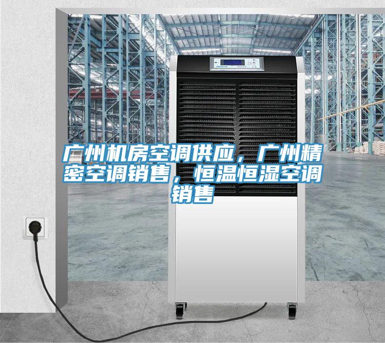 廣州機房空調供應，廣州精密空調銷售，恒溫恒濕空調銷售