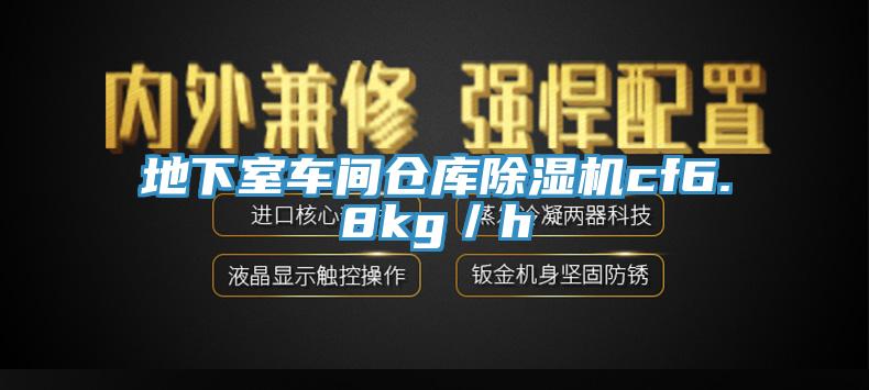 地下室車間倉庫除濕機(jī)cf6.8kg/h