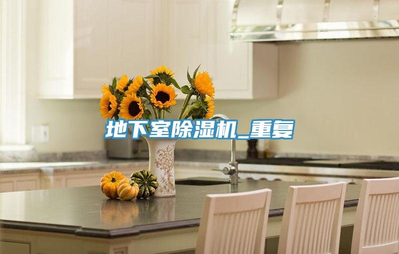 地下室除濕機(jī)_重復(fù)