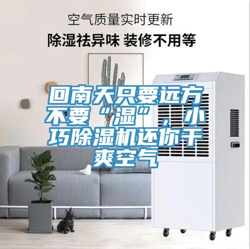 回南天只要遠(yuǎn)方不要“濕”，小巧除濕機(jī)還你干爽空氣