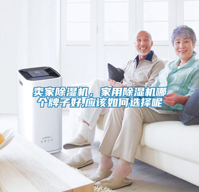 賣家除濕機，家用除濕機哪個牌子好,應該如何選擇呢