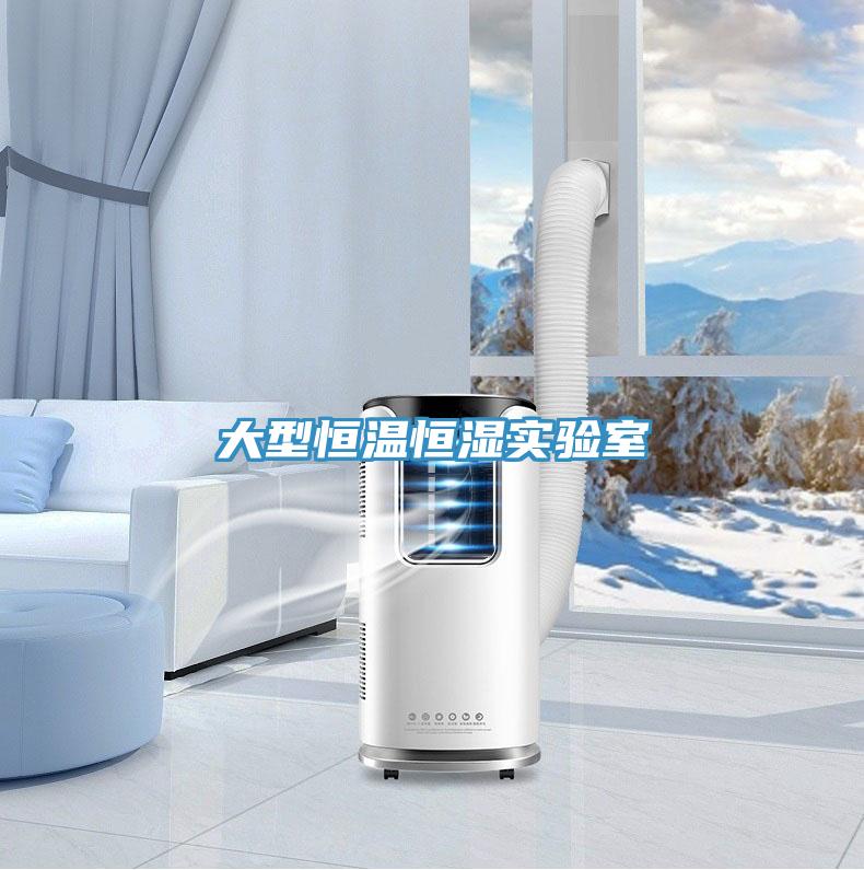 大型恒溫恒濕實驗室