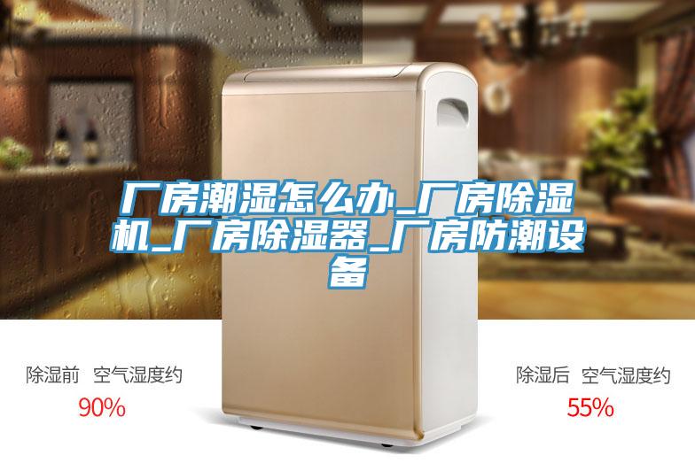 廠房潮濕怎么辦_廠房除濕機(jī)_廠房除濕器_廠房防潮設(shè)備