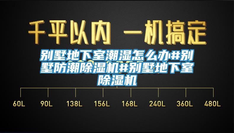 別墅地下室潮濕怎么辦#別墅防潮除濕機(jī)#別墅地下室除濕機(jī)