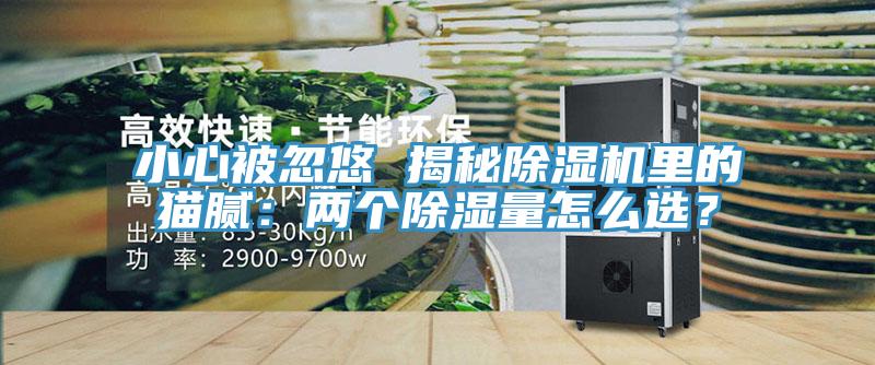 小心被忽悠 揭秘除濕機里的貓膩：兩個除濕量怎么選？