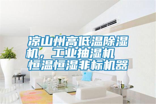 涼山州高低溫除濕機(jī)，工業(yè)抽濕機(jī)  恒溫恒濕非標(biāo)機(jī)器