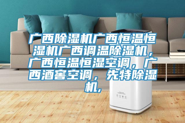 廣西除濕機廣西恒溫恒濕機廣西調溫除濕機，廣西恒溫恒濕空調，廣西酒窖空調，先特除濕機,