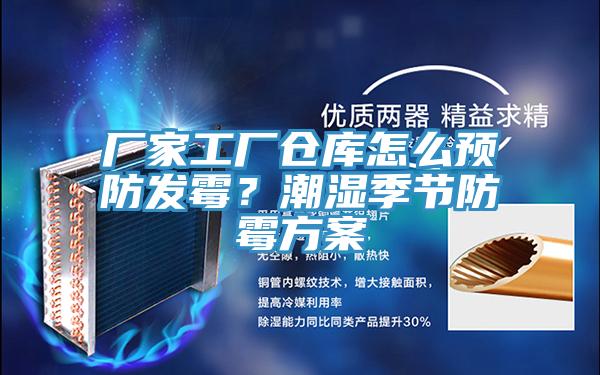 廠家工廠倉庫怎么預防發(fā)霉？潮濕季節(jié)防霉方案