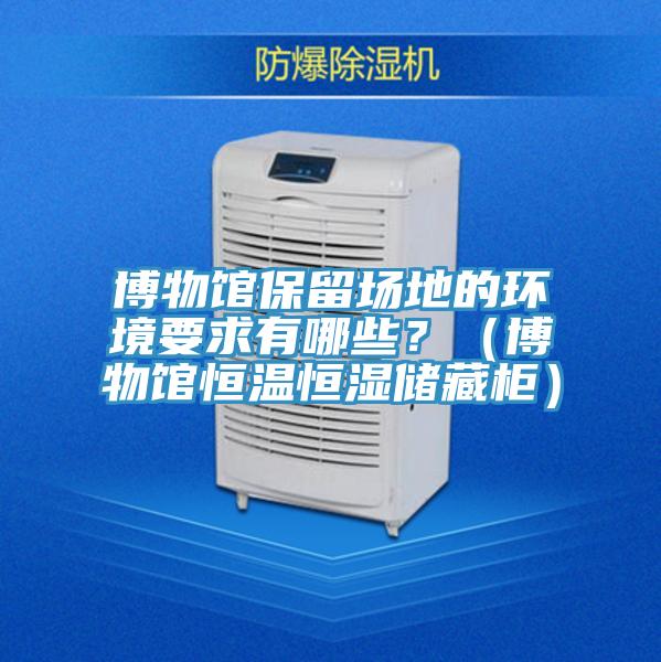 博物館保留場地的環境要求有哪些?(博物館恒溫恒濕儲藏柜)