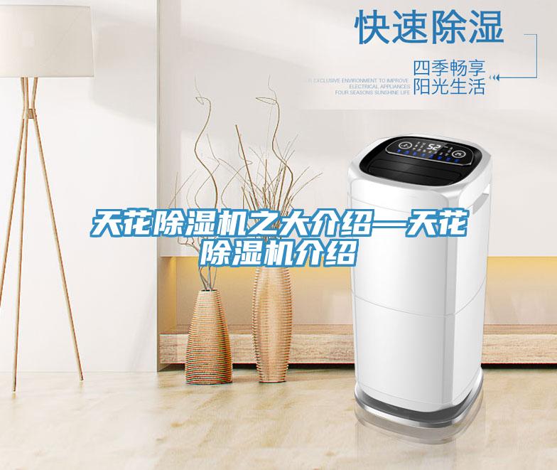 天花除濕機之大介紹—天花除濕機介紹