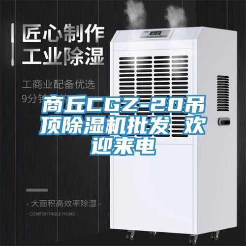 商丘CGZ-20吊頂除濕機批發 歡迎來電