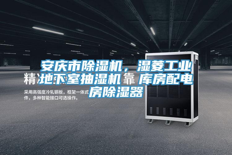 安慶市除濕機(jī)，濕菱工業(yè)地下室抽濕機(jī)  庫(kù)房配電房除濕器